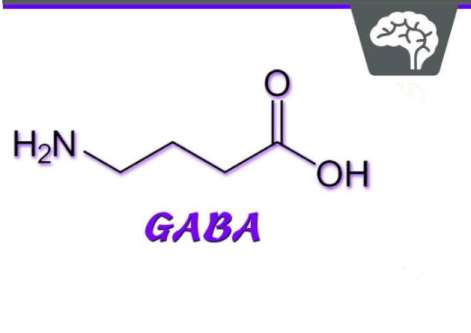 GABAΪǵʲô