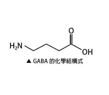 GABA神经递质在脑内的作用