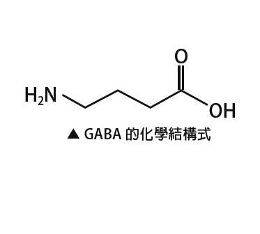 GABAǵĴеĺʲô